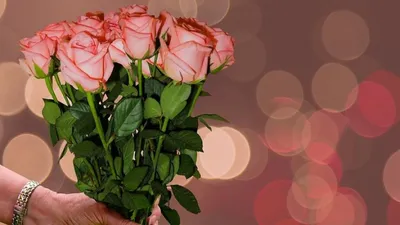 Нежные розы в плайм-пакете от Интер-Флора