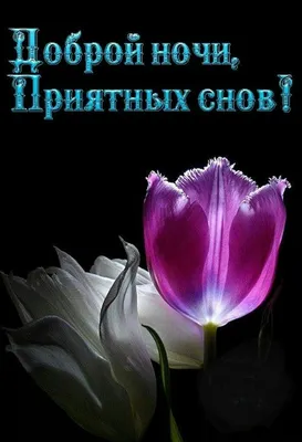 Нежных снов 57 картинок