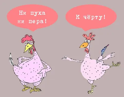 Ни пуха ни пера #12