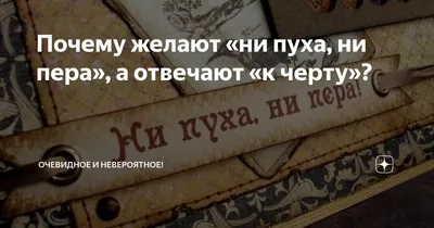 Почему желают «ни пуха, ни пера», а отвечают «к черту»? | Очевидное и  невероятное! | Дзен