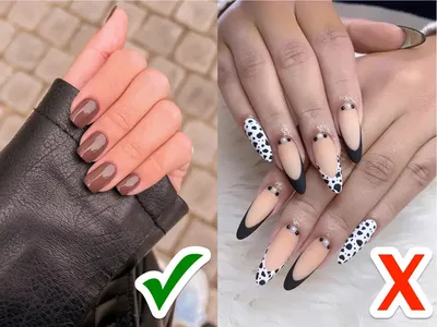 Накладні нігті Beautiful Nail синій френч, форма квадрат, короткі, 24 шт -  купити за найкращою ціною в Україні ➤ 