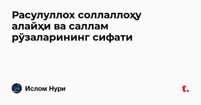 Атвети Хочи Мирзо ба Абу Мухаммади Мадани падар саг