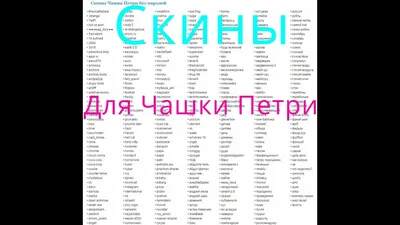 Скины для Чашки Петри - YouTube