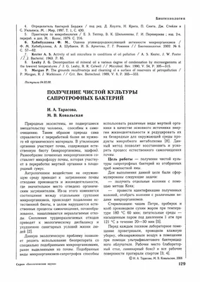 Наконечники для дозаторов 0,1-10 мкл, удлиненные купить оптом - Медикал  Бизнес Комьюнити