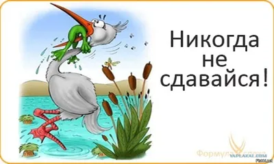 Никогда не сдавайся! (Нина Джос) / Проза.ру