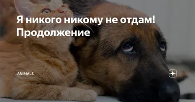 Я никого никому не отдам! Продолжение | Animals | Дзен