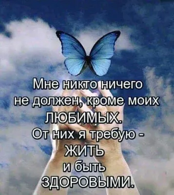 РУССКАЯ ПОЭЗИЯ - Андрей Дементьев - Я ничего и никому не должен. | Пикабу