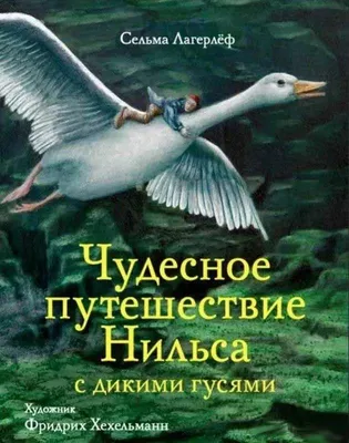 Иллюстрации путешествие нильса с дикими гусями - 84 фото