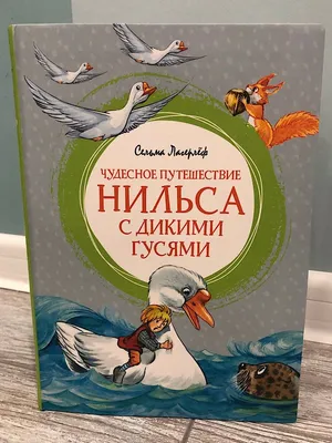 Путешествие Нильса с дикими гусями - всё - прикольные посты, смешные  картинки, мемы и гифки на JoyReactor