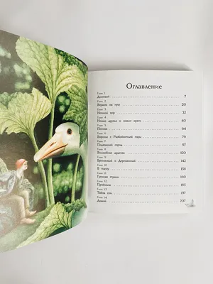 Борис Диодоров «Чудесное путешествие Нильса с дикими гусями» — Картинки и  разговоры
