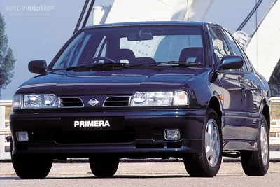 Nissan Primera Wagon (Ниссан Примера Универсал) - Продажа, Цены, Отзывы,  Фото: 1050 объявлений