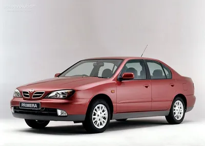 File:Nissan Primera rear  - Wikimedia Commons