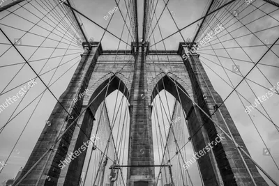 Под другим углом: Нью-Йорк на черно-белых фотографиях Алекса Тьюшера »  
