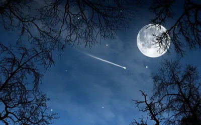 Картинки ночь, луна, звезды, силуэт - обои 1600x900, картинка №395714