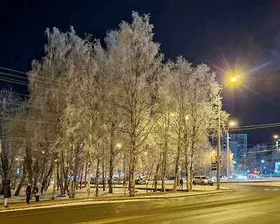 Ночной дождь | Эстетика, Ночь, Дождь