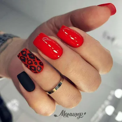 Накладные ногти Kitty Nail классические красные, форма квадрат, средний  размер, глянцевые, 24 шт - купити за найкращою ціною в Україні ➤  