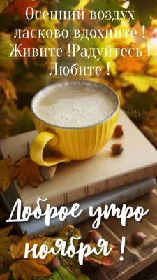 Здравствуй Ноябрь! ❄️🍁С Добрым Утром Ноября! Красивая Песня! Музыкальная  Открытка Пожелание! | Уголок Счастья | Дзен