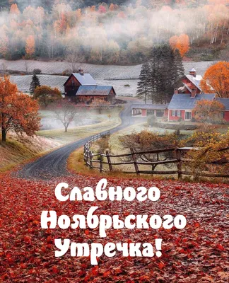 Идеи на тему «Привет!.Как дела?» (730) | открытки, доброе утро, веселые  картинки