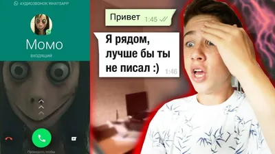 Настоящий номер телефона Момо Whatsapp в России, Беларуси, Казахстане,  Украине и Японии