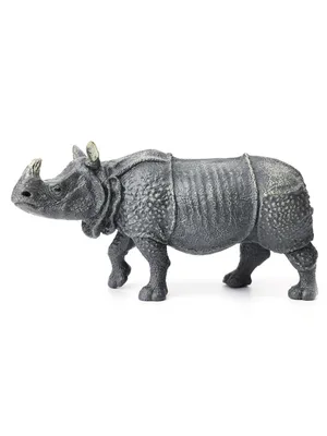Носорог клипарт (67 фото) » Рисунки для срисовки и не только