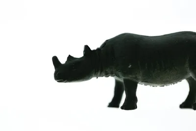 Фигурка животного Derri Animals Носорог Белый, для детей, игрушка  коллекционная декоративная, 81942, 3.5х14х5.5 см - купить с доставкой по  выгодным ценам в интернет-магазине OZON (262097820)