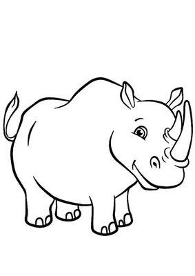 Милый носорог | Раскраски с животными, Раскраски, Рисунки животных