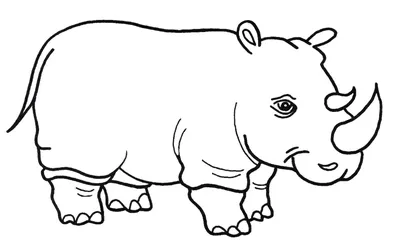 Раскраска Носорог для малышей распечатать или скачать