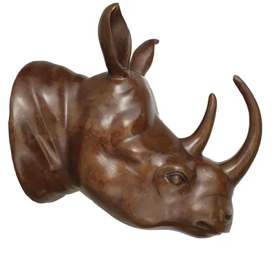 Мог сохраниться даже мозг». Ученые рассказали об уникальности абыйского  шерстистого носорога — ЯСИА