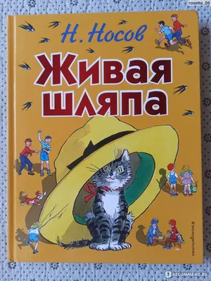 Большая книга рассказов. Носов Н.Н. (7126544) - Купить по цене от   руб. | Интернет магазин 