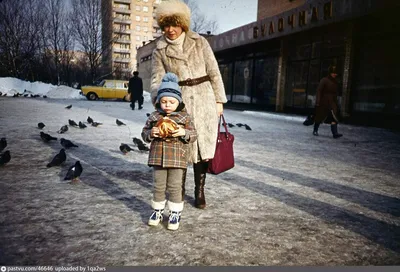 Ностальгия по СССР. На «Авито» выставили архивные открытки к 8 Марта | РБК  Life
