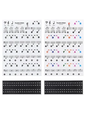 MuseScore Урок 4. Как сделать цветные ноты в партитуре | Фортепиано -  младшие классы. Ноты, методика. | Дзен