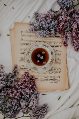 Розовые милые цветы музыкальные ноты фон Обои Изображение для бесплатной  загрузки - Pngtree