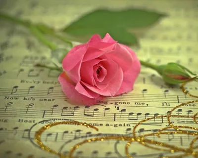 Цветы, ноты, пианино с Днём …» — создано в Шедевруме