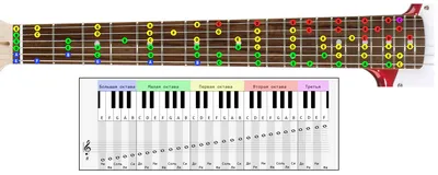 Ноты на грифе гитары | Обучение игре на гитаре, Гитара, Ноты