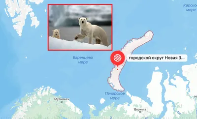 Новая Земля: как осваивали русский Север