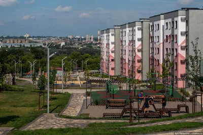 Плейхаб Пауки — в ЖК Новая Жизнь в Ульяновске 🇷🇺 — Намкуда