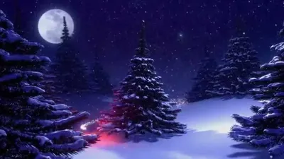 Обои на рабочий стол Наряженная новогодняя елка посреди опушки леса в  снегу, в небе видна падающая комета, обои для рабочего стола, скачать обои,  обои бесплатно