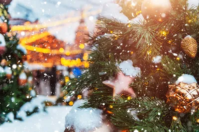 Картинка Рождество Зима Елка Природа Леса снеге Шар в ночи 6016x4684