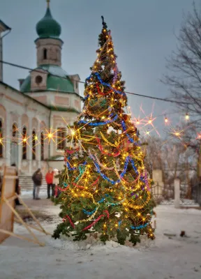 Раскраска Елка и подарки. Раскраска нарядная елка, раскраска новогодняя елка  для детей,… | Рождественские цветы, Раскраски, Рождественское  художественное оформление