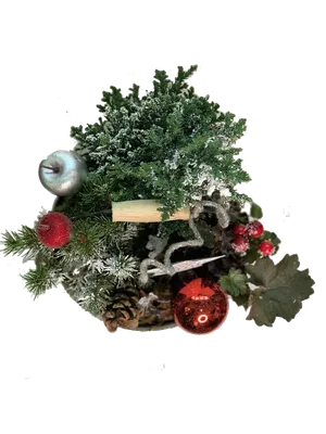 Подвеска новогодняя деревянная "звезда". Подвесные игрушки из дерева.  Деревянные игрушки купить Киев