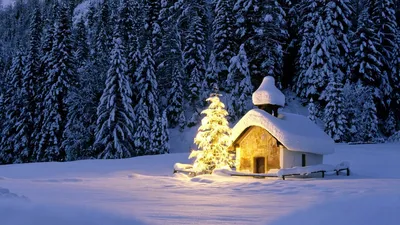 Домик в снежном лесу. Елки - Новогодние картинки, рисунки и открытки