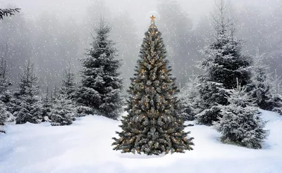 Обои на рабочий стол Новогодняя елка с украшениями, под которой сложены  подарки стоит на снегу, вдалеке виднеются дома с освещенными окнами, на  небе светит полная Луна, обои для рабочего стола, скачать обои,
