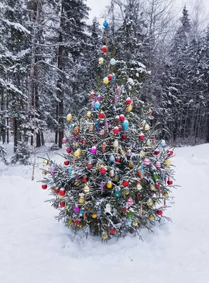 Чудо ёлочка «Снежная» с падающим снегом и музыкой, 190см (Чудо-Ёлка) |  Купить по цене 15200.0 рублей