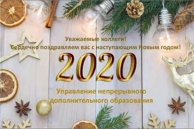 Поздравление с Новым годом 2024 коллегам: красивые и креативные варианты