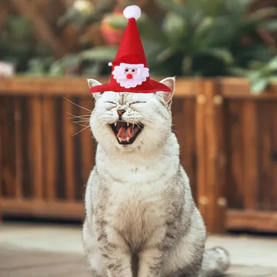 Новогодние шапки для собак моющиеся коты фото реквизит головной убор  многоразовые смешные рождественские Домашние животные декоративные шапки  Домашние животные праздничные украшения | AliExpress