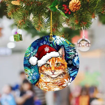 Волгоградские коты и кошечки пробуют на вкус и прочность новогодние елки 29  декабря 2022 -  - 