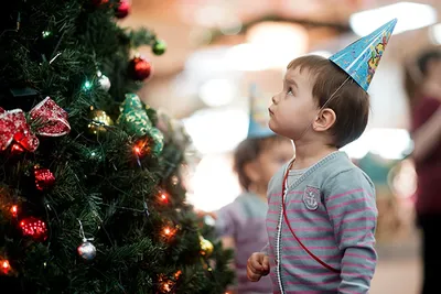 Советы родителям малышей: как использовать новогодние праздники для  развития речи - Лента новостей Севастополя