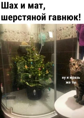 НАКОНеЦ-ТО! НОВОГОДНЯЯ ПРАГА! ЯРМАРКИ! снежки' игры! ееселье? С НО0ЫМ  годом, смерды? у меня есё Х / Octane :: Новый Год :: Серьезные комиксы ::  праздник :: Божий Одуванчик :: Геннадий Петрович ::