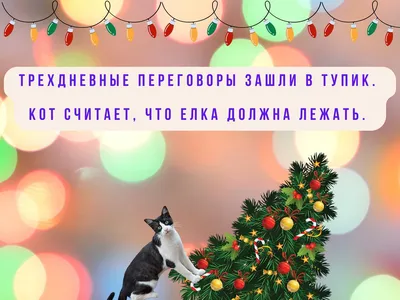 Новогодние анекдоты 2021, а также новогодние шутки и приколы с Дедом  Морозом, Снегурочкой... - YouTube