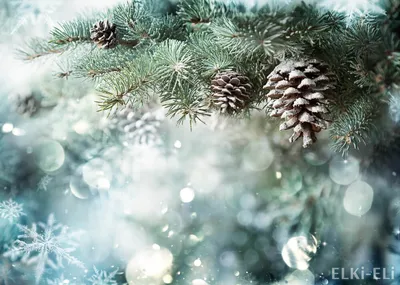 Искусственный снег для елочки из бумаги. Создаю новогодние открытки. |  Бумажная филигрань | Дзен
